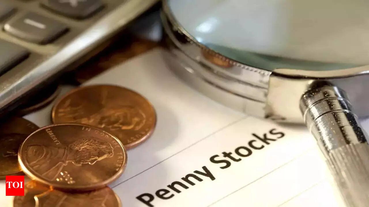 From Pennies to Profits? The Real Stories of Penny Stock Traders
